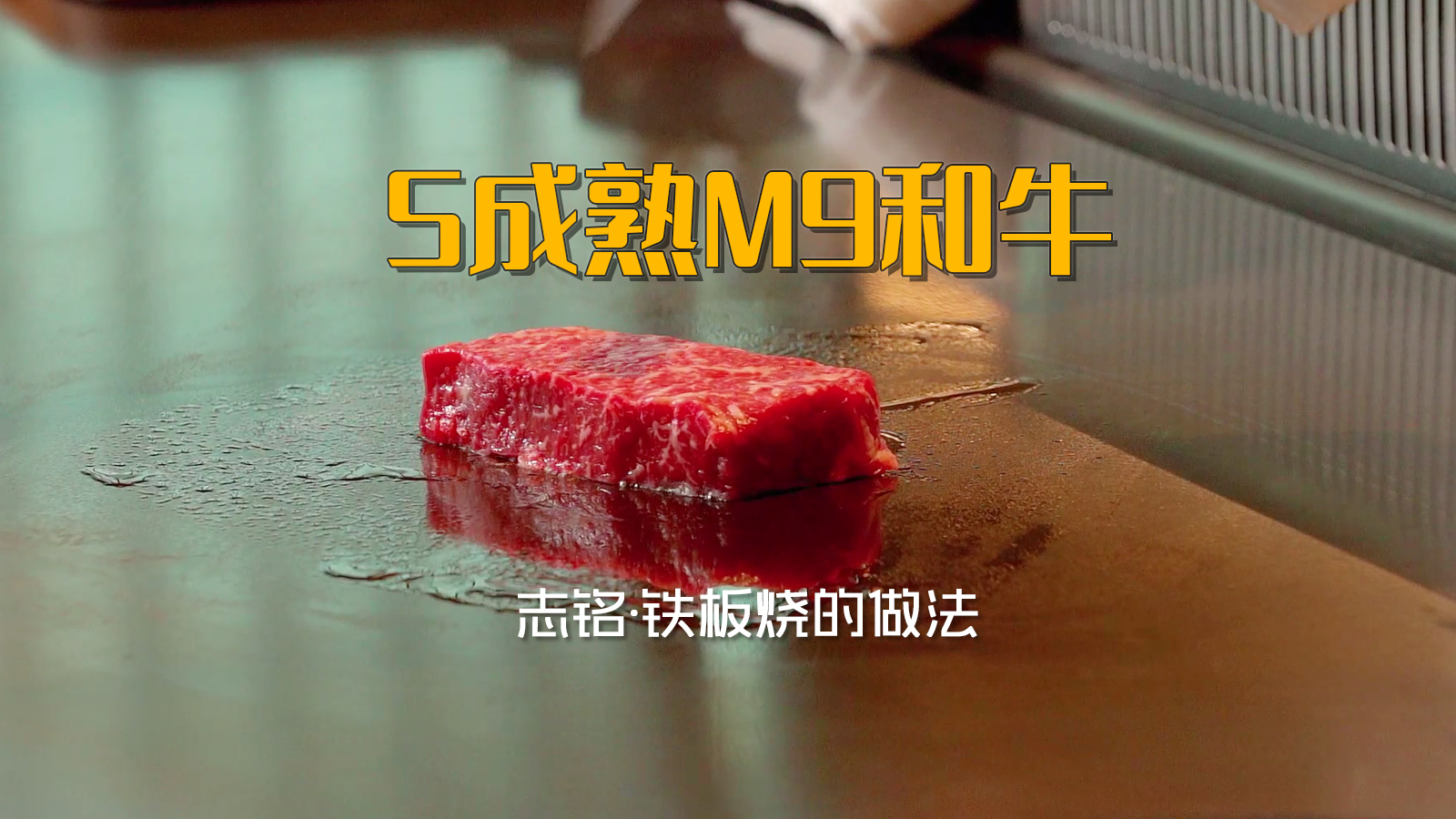 5成熟M9和牛